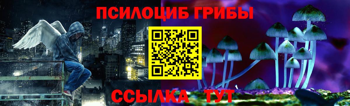 Псилоцибиновые грибы мухоморы  Вход с VPN  Усть-Илимск 